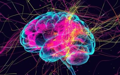 Alzheimer’s Disease and Dementia: Understand the Distinction