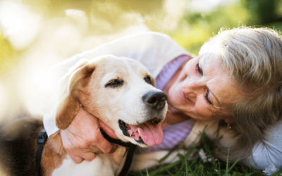 Planning Ahead: Caring for Elderly Parents and Their Pets